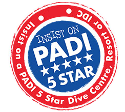 insist-on-padi-5-star