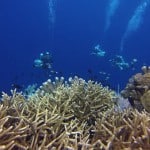 planned decompression on the 100m in Bunaken