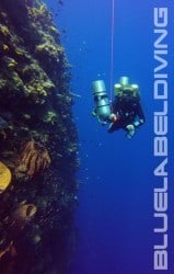 try-dives for the 100m dive in bunaken