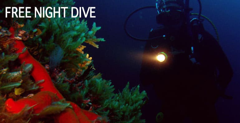 free night dive