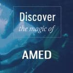 discover amed