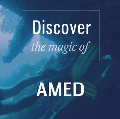 discover amed