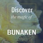 discover bunaken