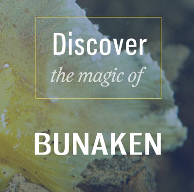 discover bunaken