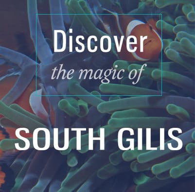 discover south gilis