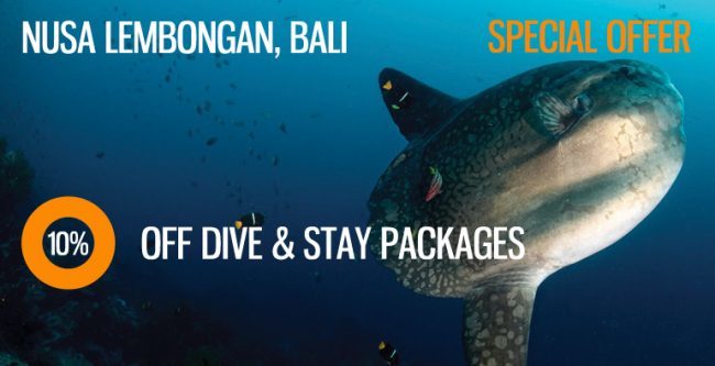 Nusa-Lembongan-10-off-dive-stay