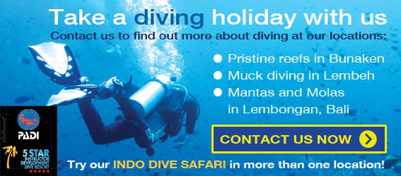 Contact Two Fish Divers