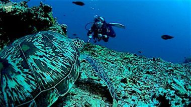 Noemi in gili gili air divemaster internship