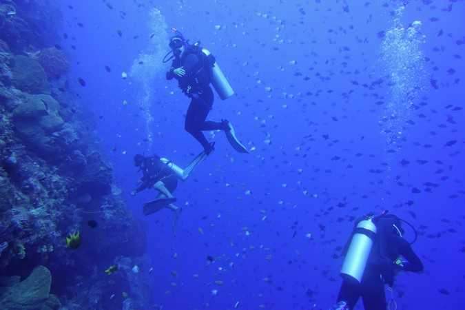 weekly blog lauren 4