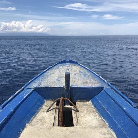 Bunaken diving in Bunaken with Dugong