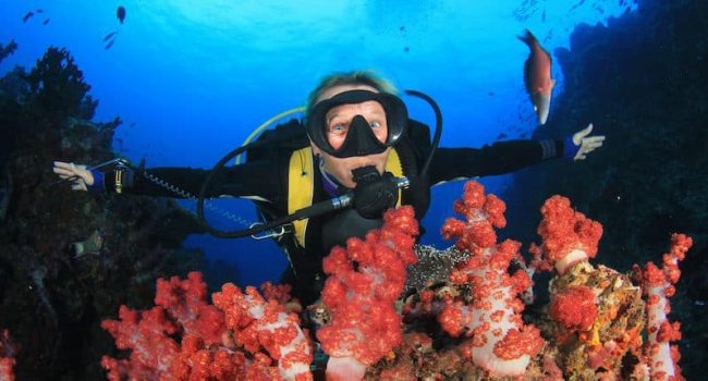 Diving in Indonesia with Two Fish Divers Two Fish Divers Indonesia