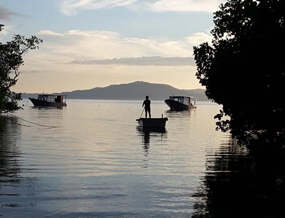 20161224_060628 diving in Bunaken - thresher shark