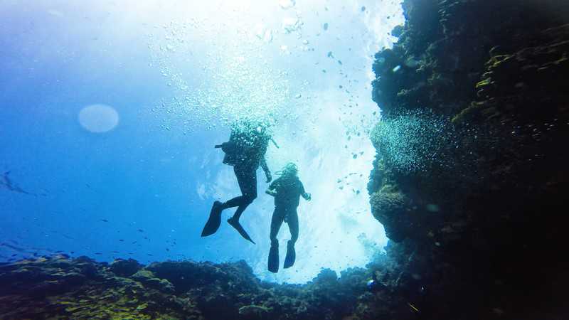 bunaken wall blog giant frogfish week in bunaken