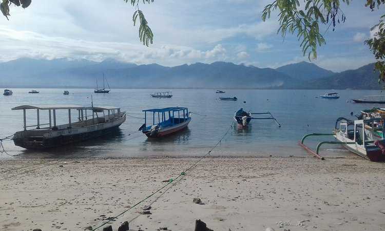 orca_share_media1511668743802 diving in Gili Air - North Lombok
