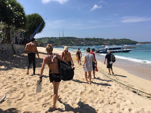 Two Fish Professional Courses