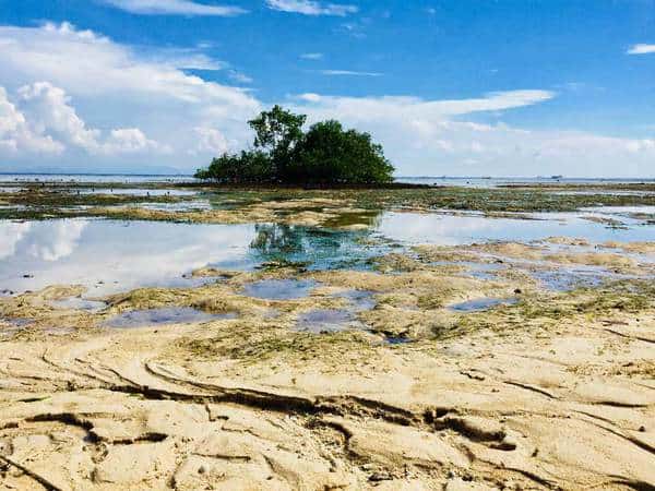 will divemaster will diving in lembongan