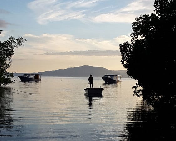 diving-in-bunaken-two-fish diving in bunaken two fish