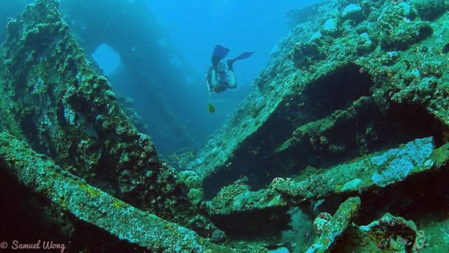 lib2 Bumpheads Liberty - Amed