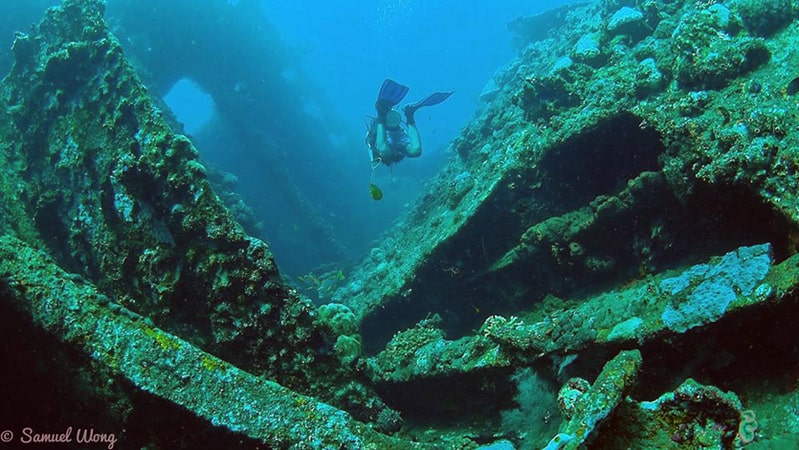 lib2 Bumpheads Liberty - Amed