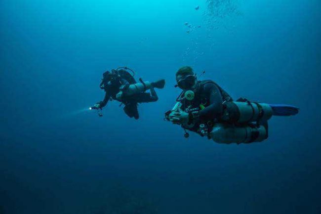 received_10156555312464879 Diver master in Belongas with the hammer heads