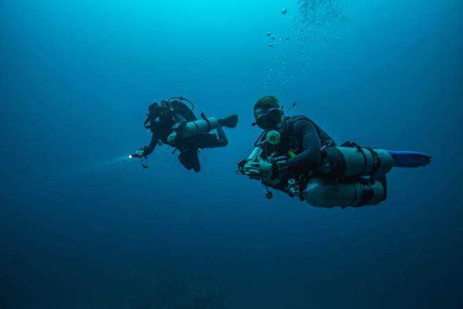 received_10156555312464879 Diver master in Belongas with the hammer heads