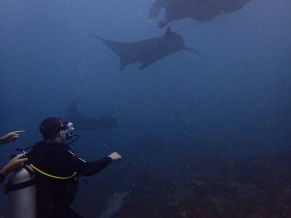 Scott DSD mantas Discover Scuba Diving surrounded by Mantas
