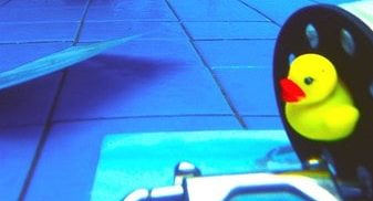 Diving with ducks, kids diving, pool Diving with ducks in the Sanur training pool