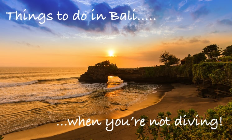 Bali-Travel-Guide Things to do in Bali