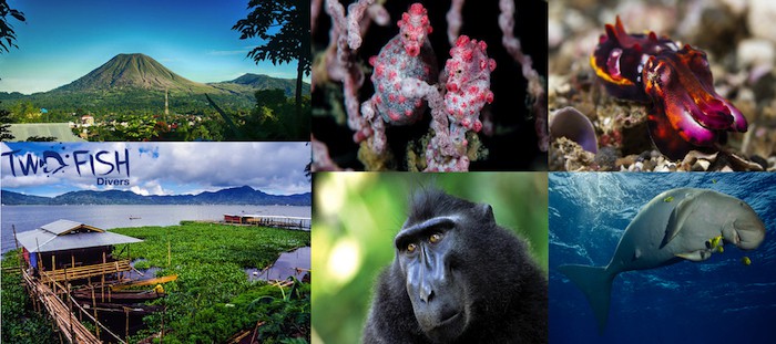 2 fish banner Tomohon Tour