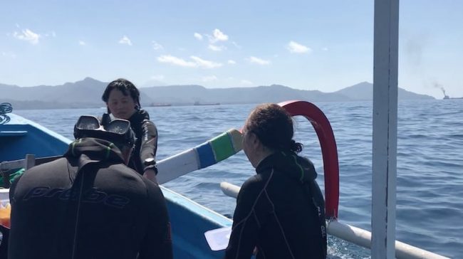 Trip Padang Bai customers Huge sea snake in Nusa Penida