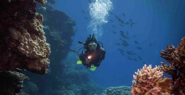 Advanced Advanced Courses Amed