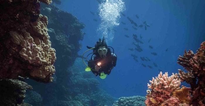 Advanced Advanced Courses Amed