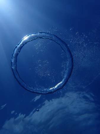 OLYMPUS DIGITAL CAMERA A week as a Divemaster trainee