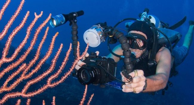 Camera care underwater Underwater Photography