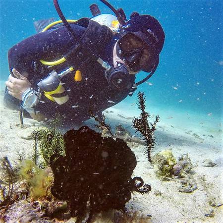 Teaching Open Water Course (The Highs and Lows) Teaching Open Water Course (The Highs and Lows)