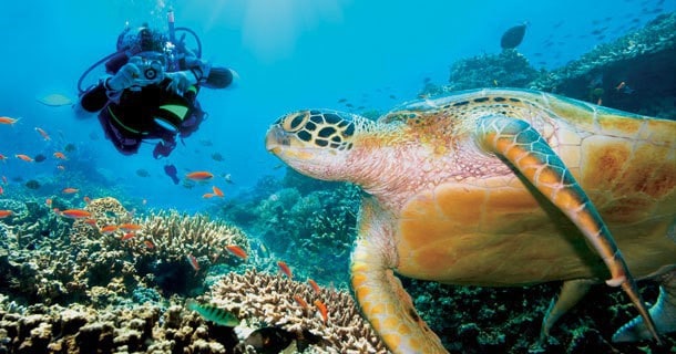 diving bunaken diver