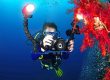 Underwater Photography Specialty