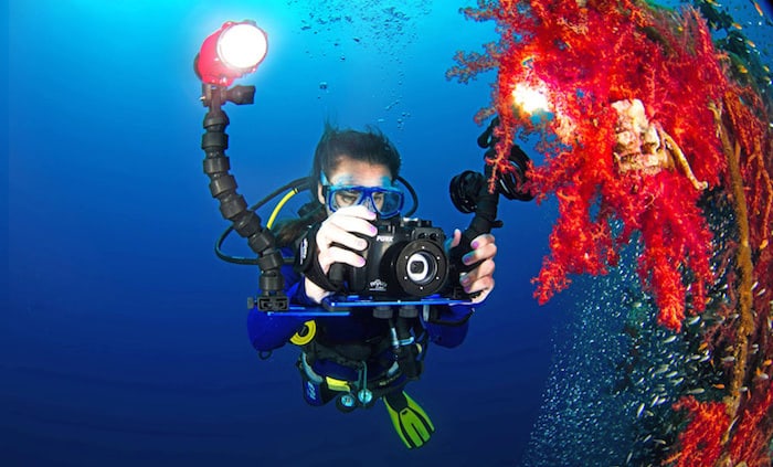 Underwater Photo Underwater Photography Specialty