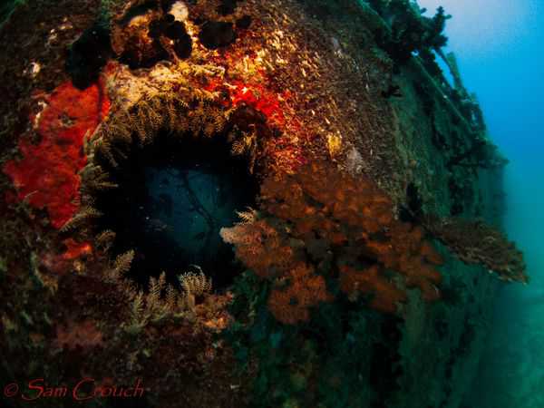 Wreck dive for return guests Wreck Dive