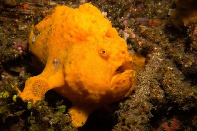 house reef house reef