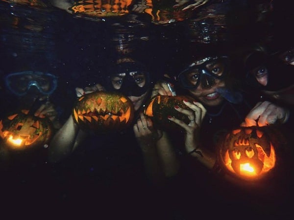 Halloween Spooky Sightings in Lembeh