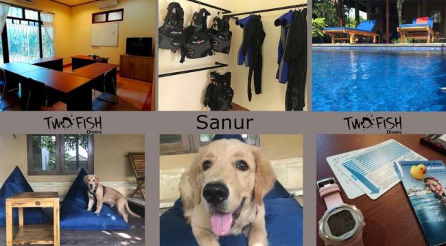 Newly renovated dive centre in Sanur Renovations at Two Fish Divers dive centre Sanur