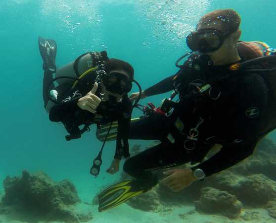 Discvover Scuba Diving Discover SCUBA Diving Along Bunaken Walls