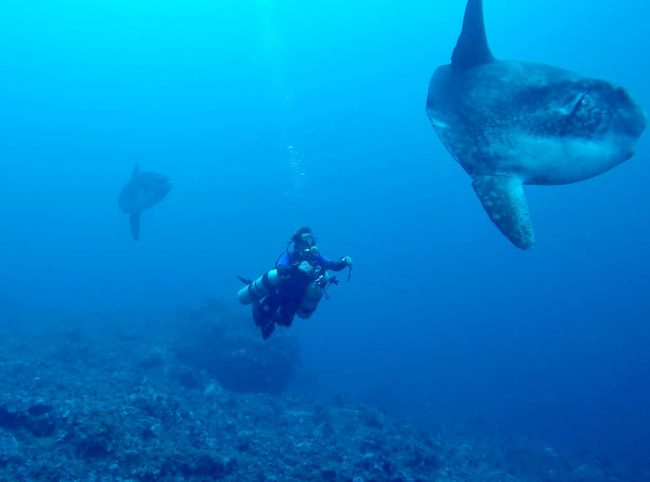 Sekotong South Lombok tech diving Sekotong South Lombok tech diving
