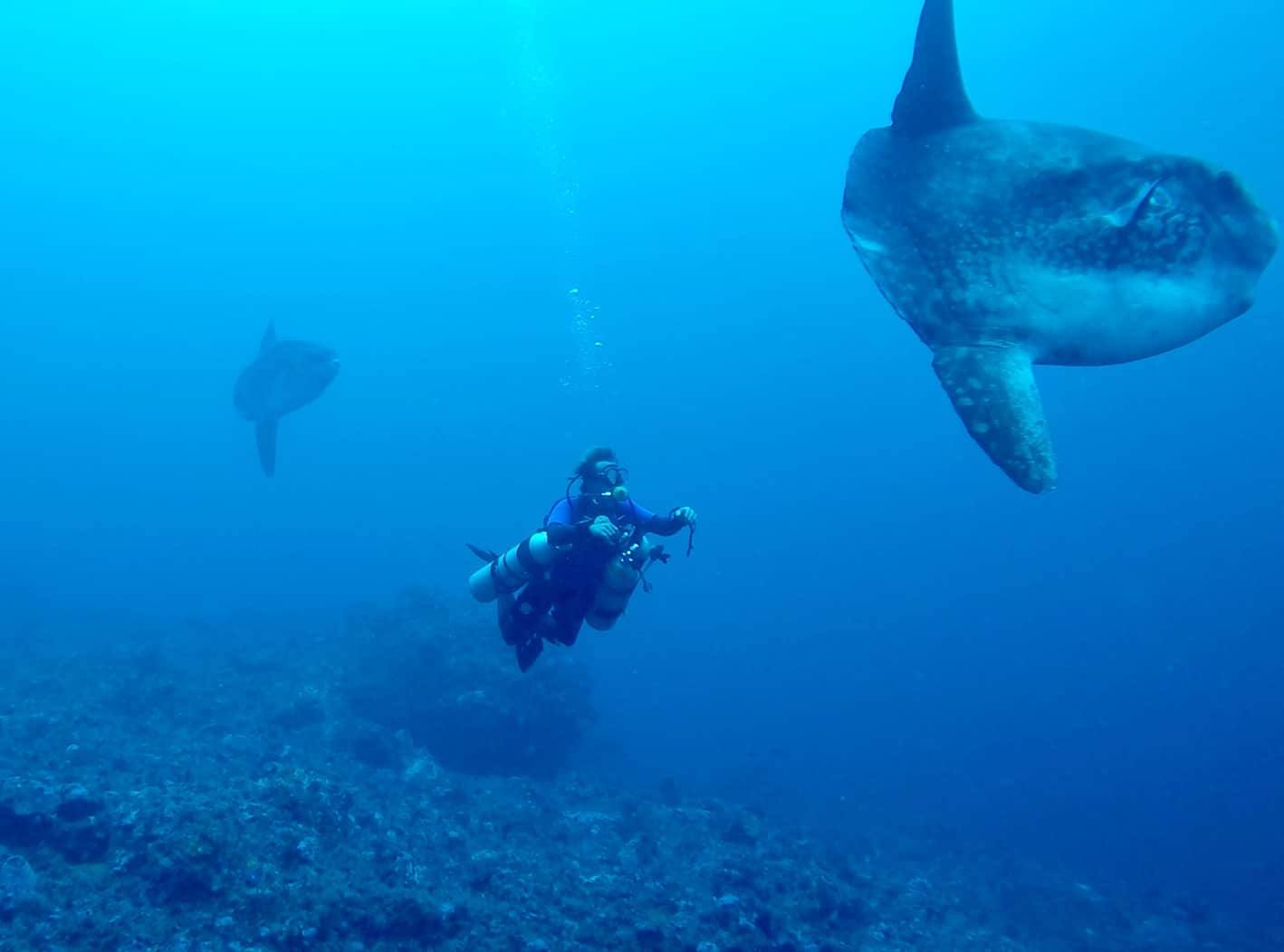 Sekotong South Lombok tech diving Sekotong South Lombok tech diving