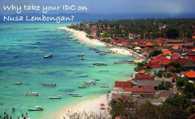 Nusa Lembongan IDC IDC Lembongan