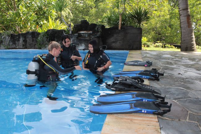 New Years Dive in the Pool New Years Dive in the Pool