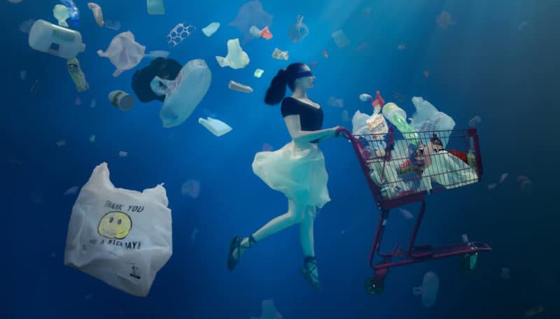 Ocean Conservation Marine Conservation