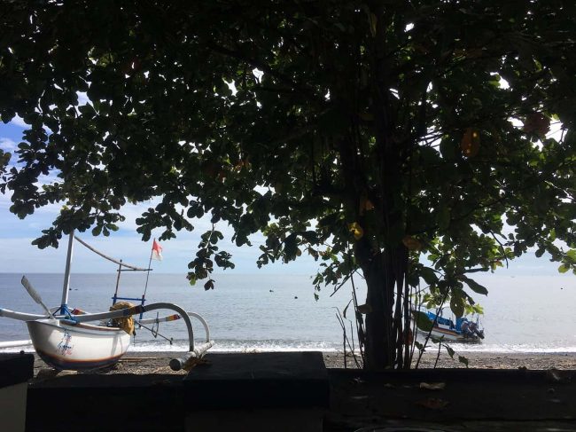 IMG_1571 A lot can happen in just over a week when you are doing your Divemaster internship