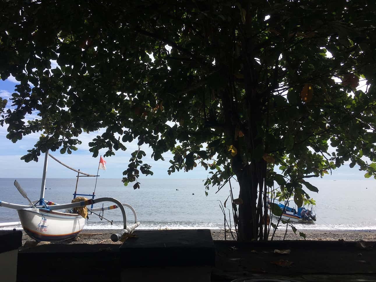 IMG_1571 A lot can happen in just over a week when you are doing your Divemaster internship